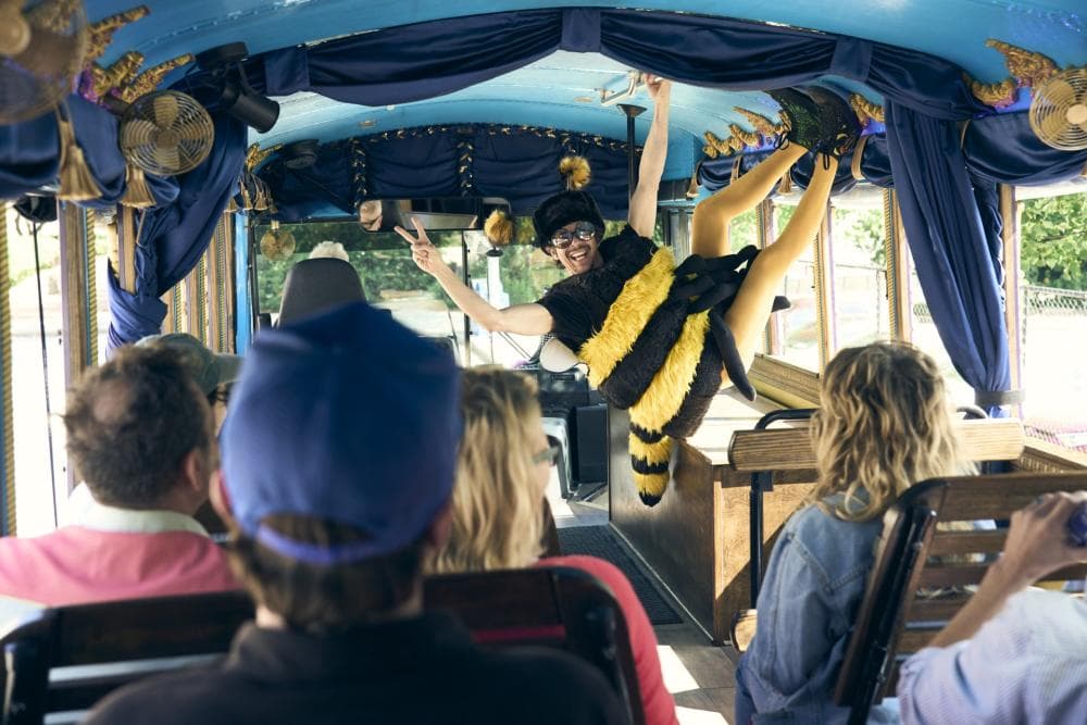 Lazoom Tour Lazoom Tour