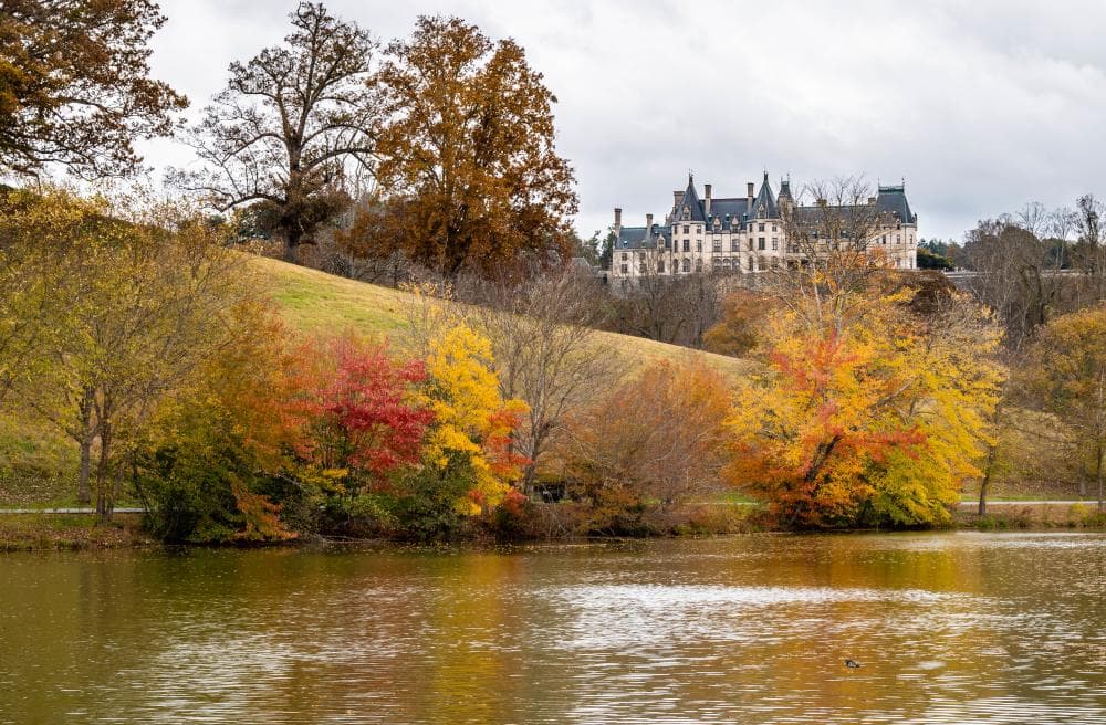 2018 Fall Color Biltmore November 1 2018 Fall Color Biltmore November 1