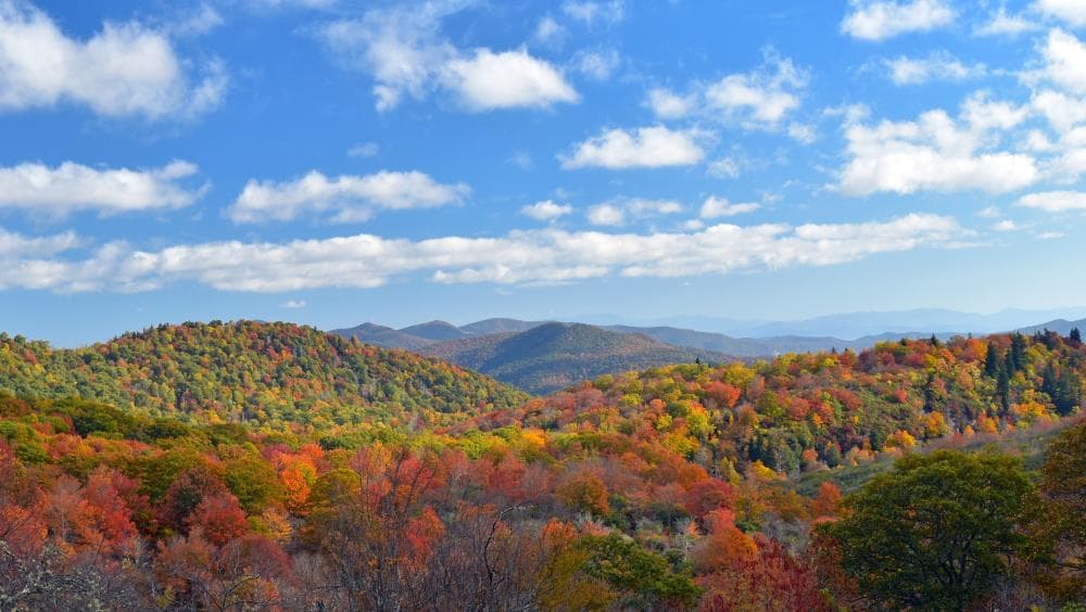 Mid Fall Color at Graveyard Fields Mid Fall Color at Graveyard Fields