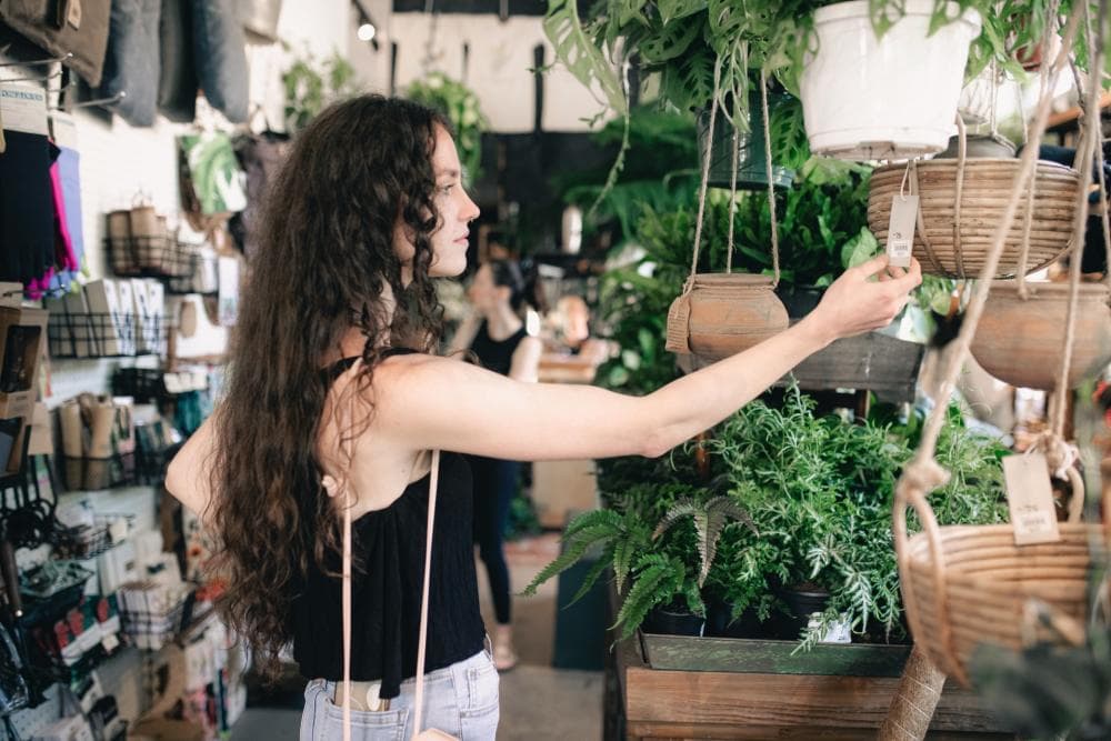 A person shopping for plants A person shopping for plants