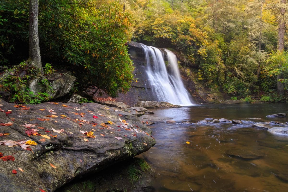 2015 Color Report: Silver Run Falls 2015 Color Report: Silver Run Falls