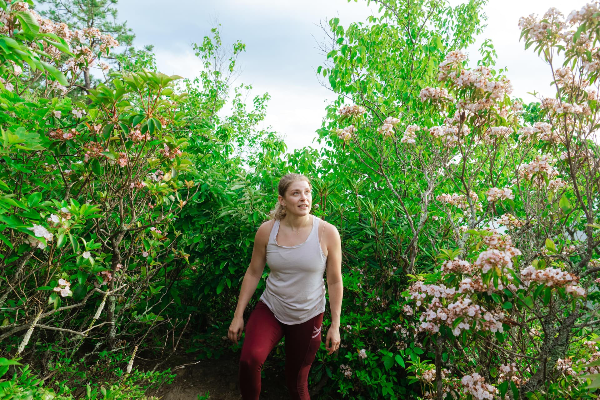 Best Spring Hikes in Asheville, NC Best Spring Hikes in Asheville, NC