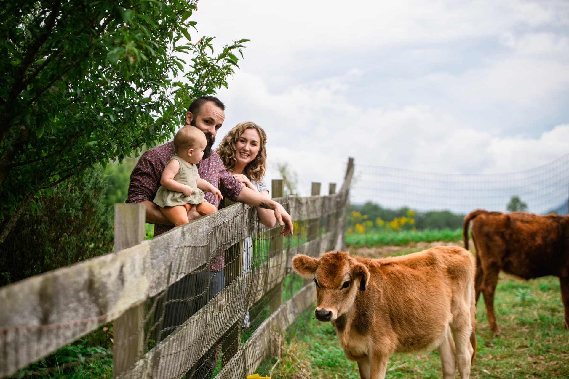 Looking Glass Creamery in Fairview / Photo: Stephan Pruitt Looking Glass Creamery in Fairview / Photo: Stephan Pruitt