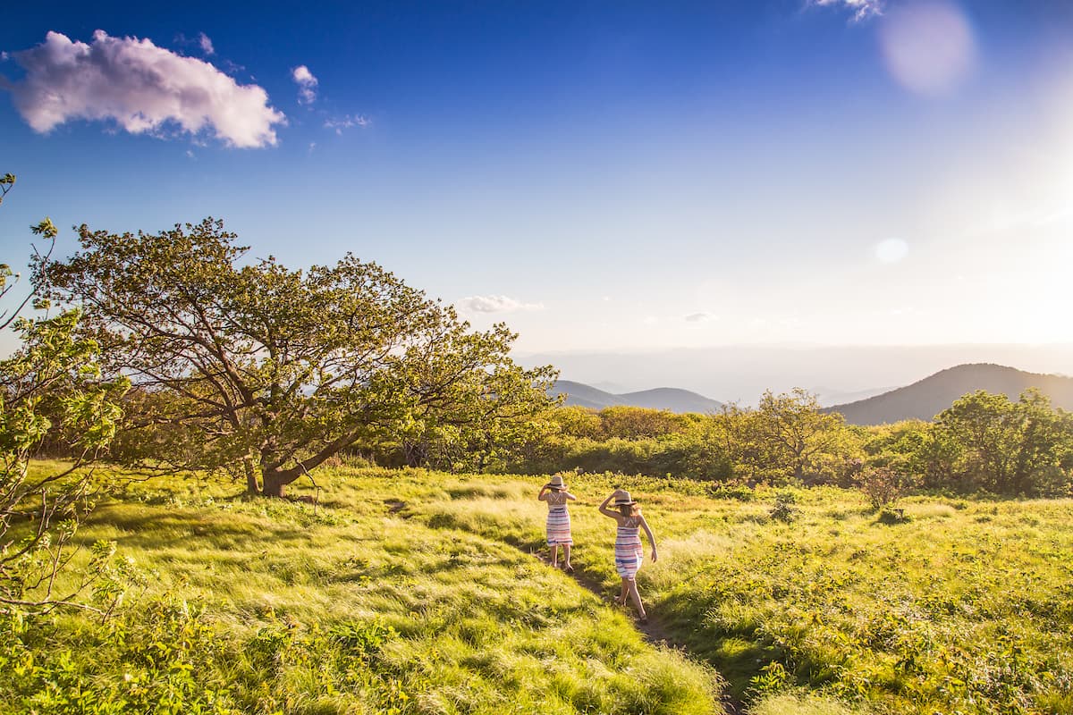 Summer in Asheville Summer in Asheville