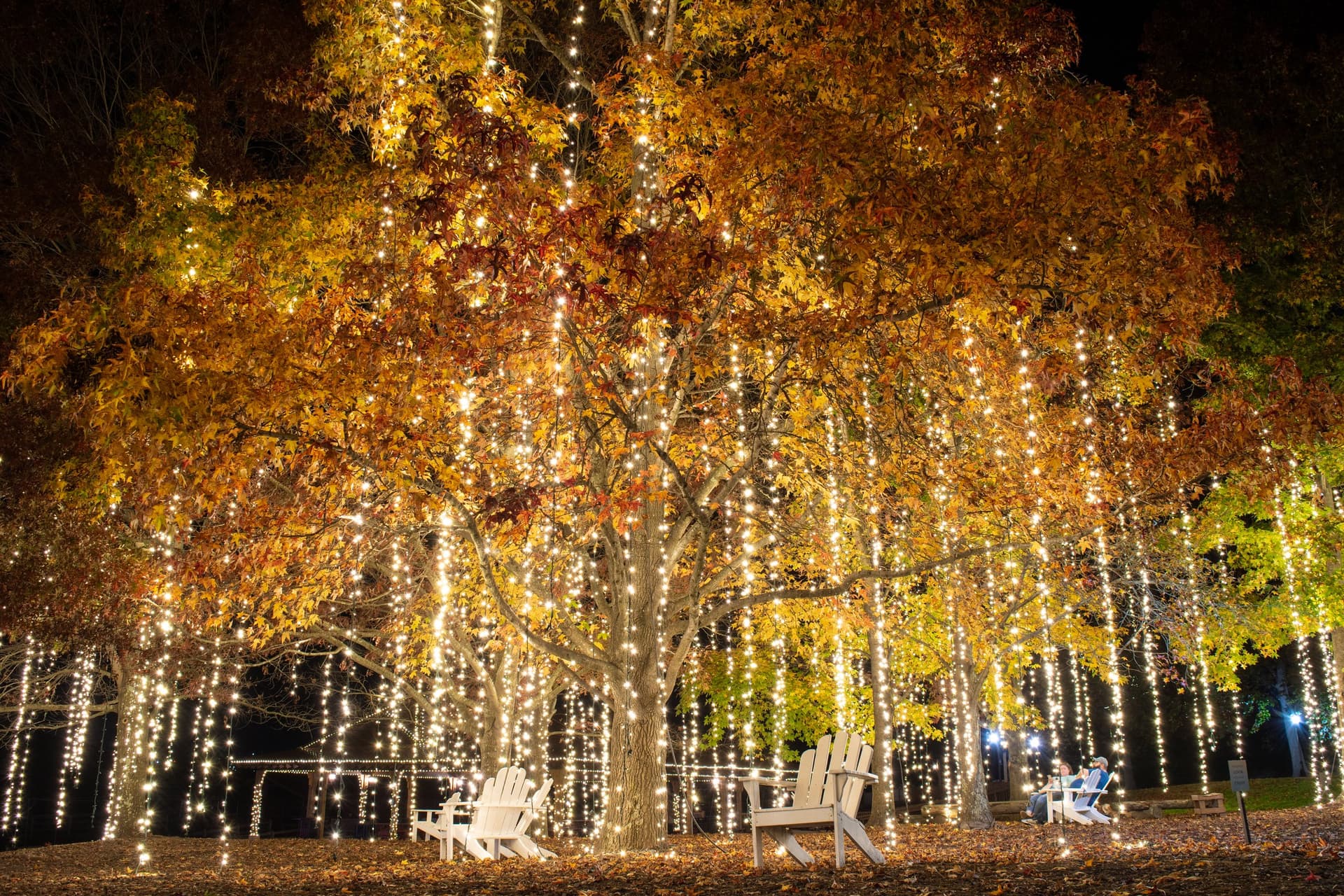 Christmas at Biltmore Christmas at Biltmore