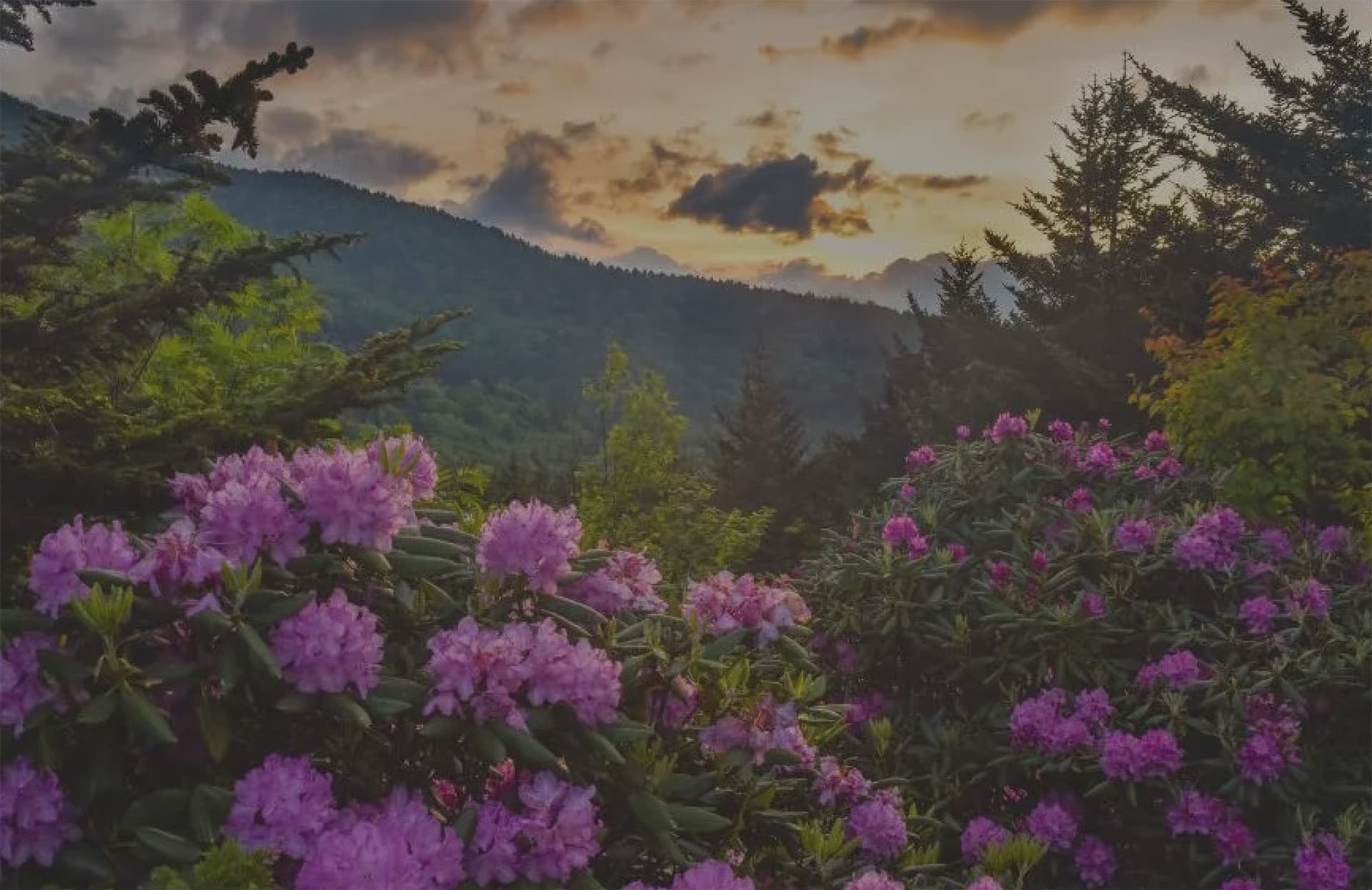 Resident Perspectives on Tourism Cover Background Resident Perspectives on Tourism Cover Background