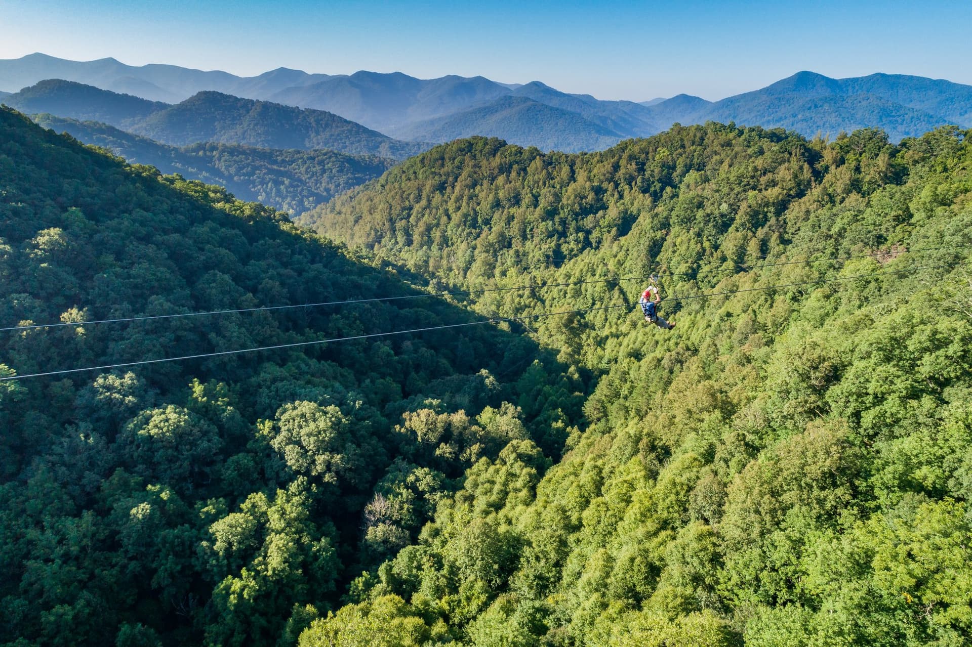Navitat Zipline in Asheville Navitat Zipline in Asheville