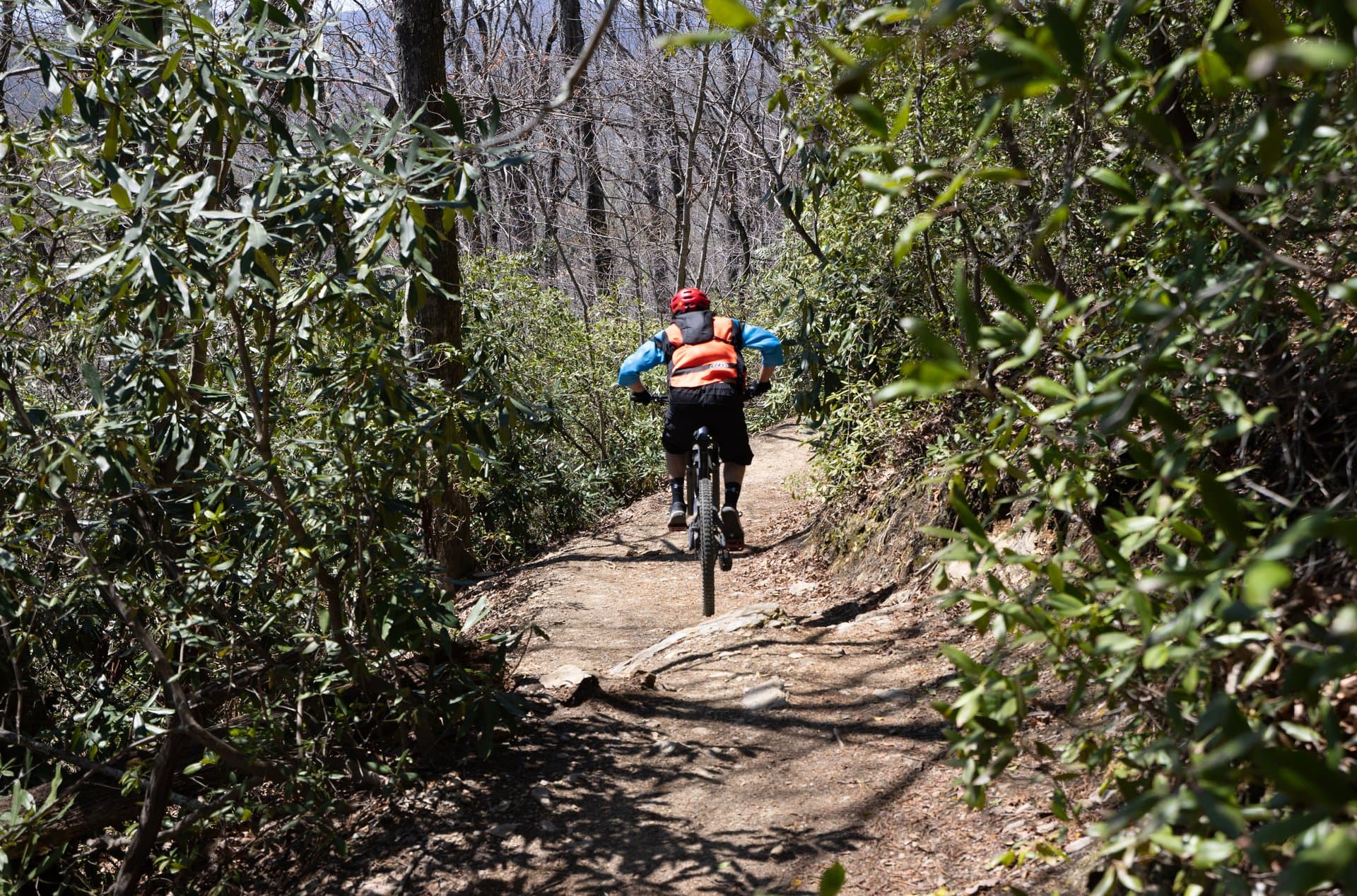 Kitsuma Trail, Pisgah National Forest / Photo: Andre Daugherty Kitsuma Trail, Pisgah National Forest / Photo: Andre Daugherty