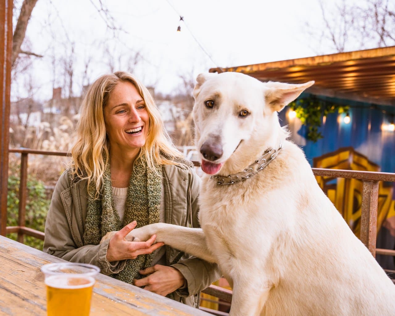 Hi-Wire Brewing Hi-Wire Brewing