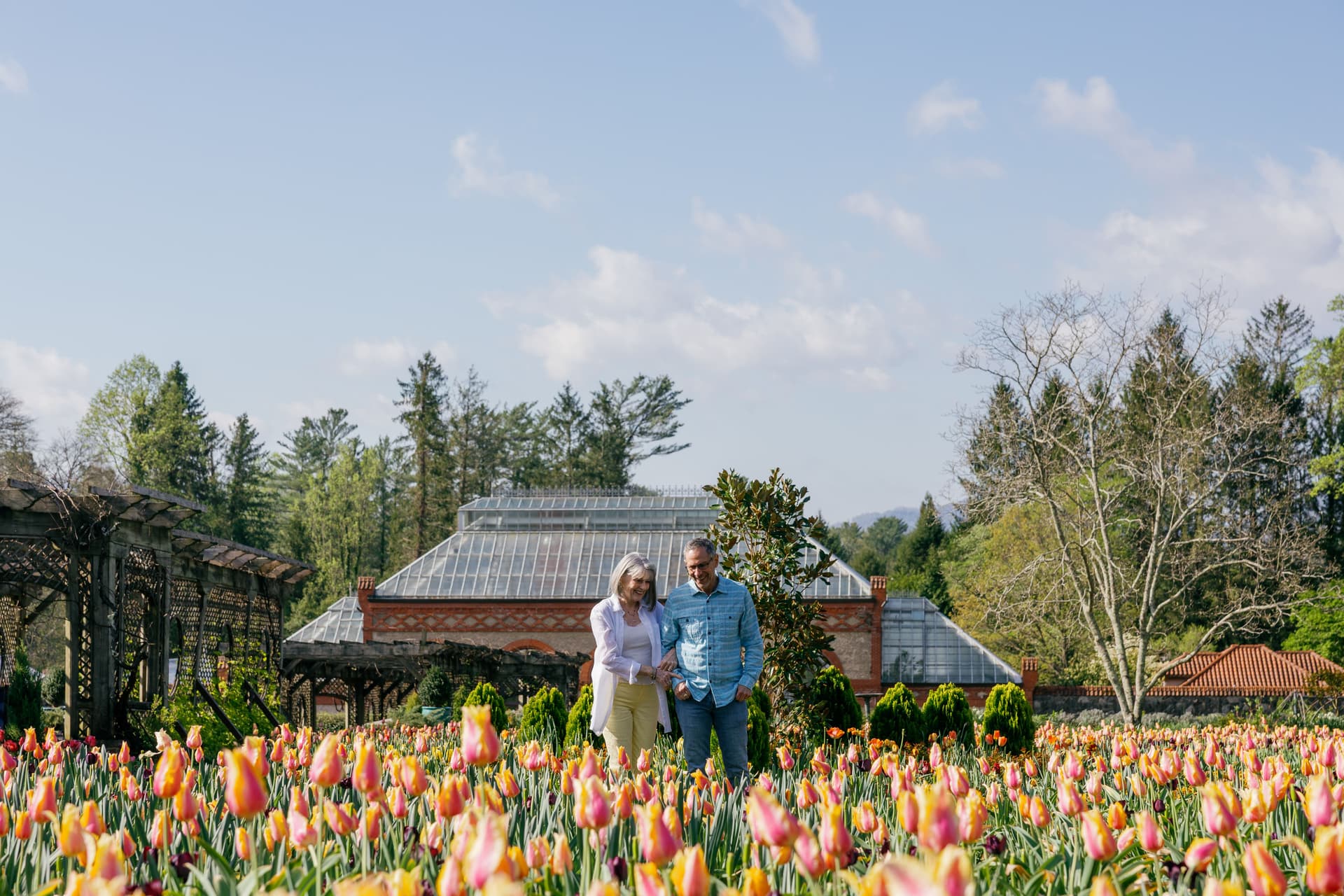 Couple looking at tulips in Biltmore garden Couple looking at tulips in Biltmore garden