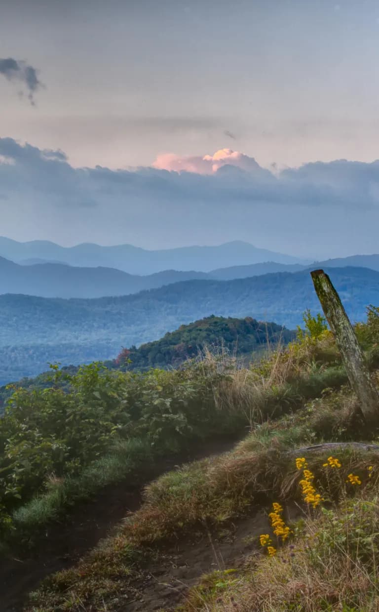 Photogenic Hikes on the Appalachian Trail Near Asheville A view of rolling blue hills layered in the distance from a hiking trail in Asheville