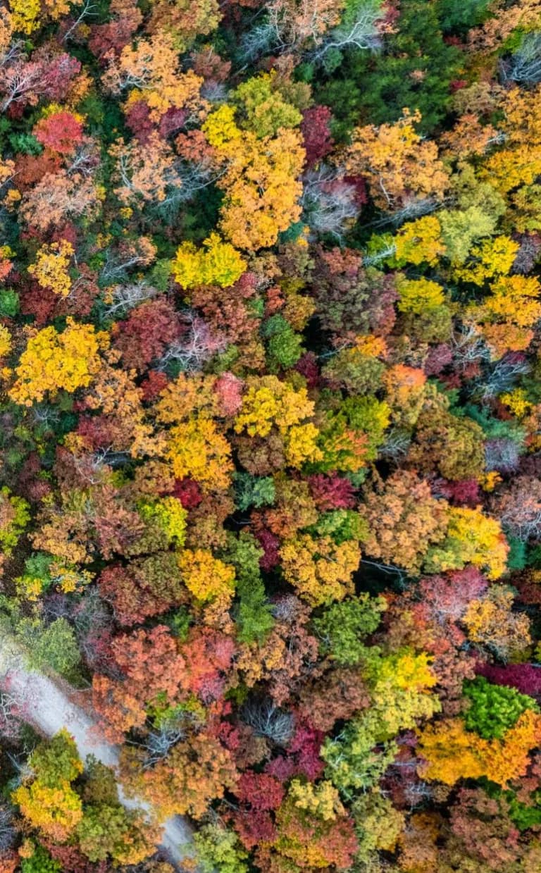 Fall Scenic Drives: Middle to Low Elevations Fall Scenic Drives: Middle to Low Elevations Asheville NC
