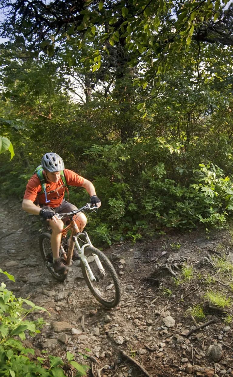 The Most Popular Mountain Biking in WNC Mountain biker on trail in Asheville, NC