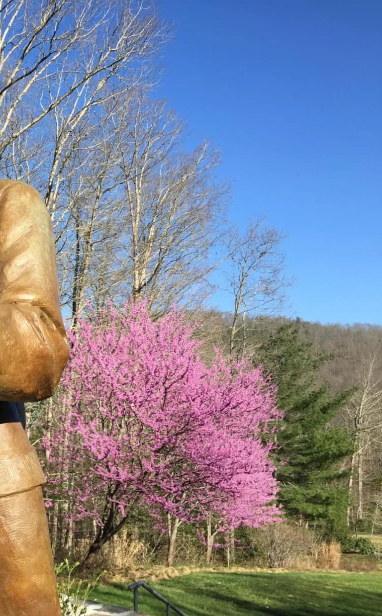 A Sense of Place: Frederick Law Olmsted’s Legendary Landscapes A bronze statue of Frederick Law Olmstead in Asheville