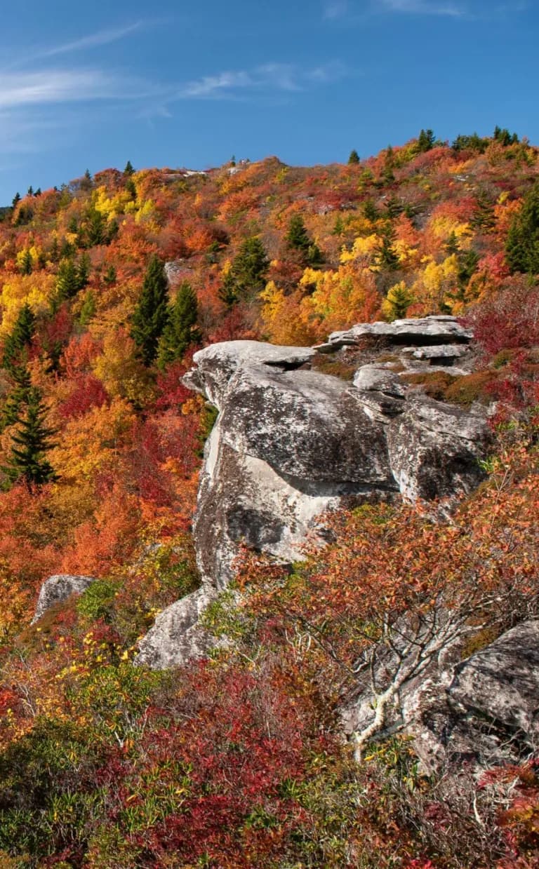 Top 10 Eco-Friendly Ways to Experience Fall in Asheville Top 10 Eco-Friendly Ways to Experience Fall in Asheville