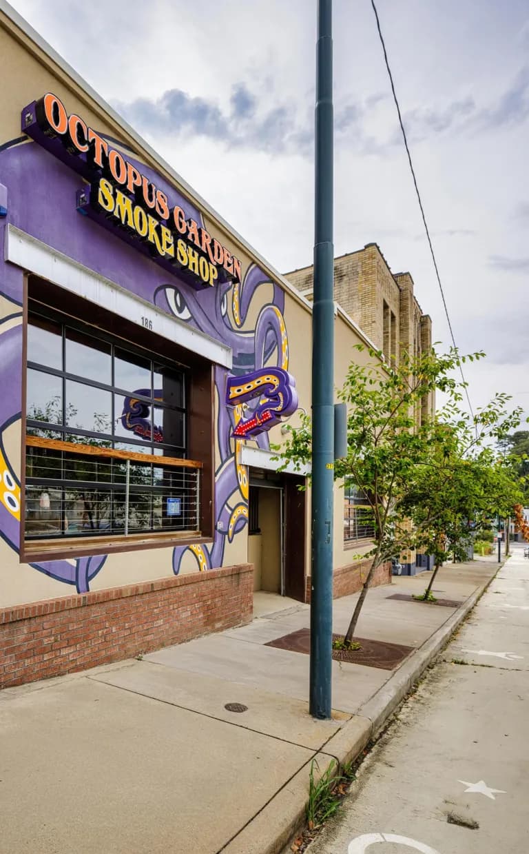 Twisted Tentacles Octopus Garden - "Twisted Tentacles"