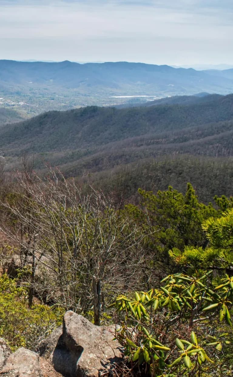 Graybeard Trail Graybeard Trail Ashevile