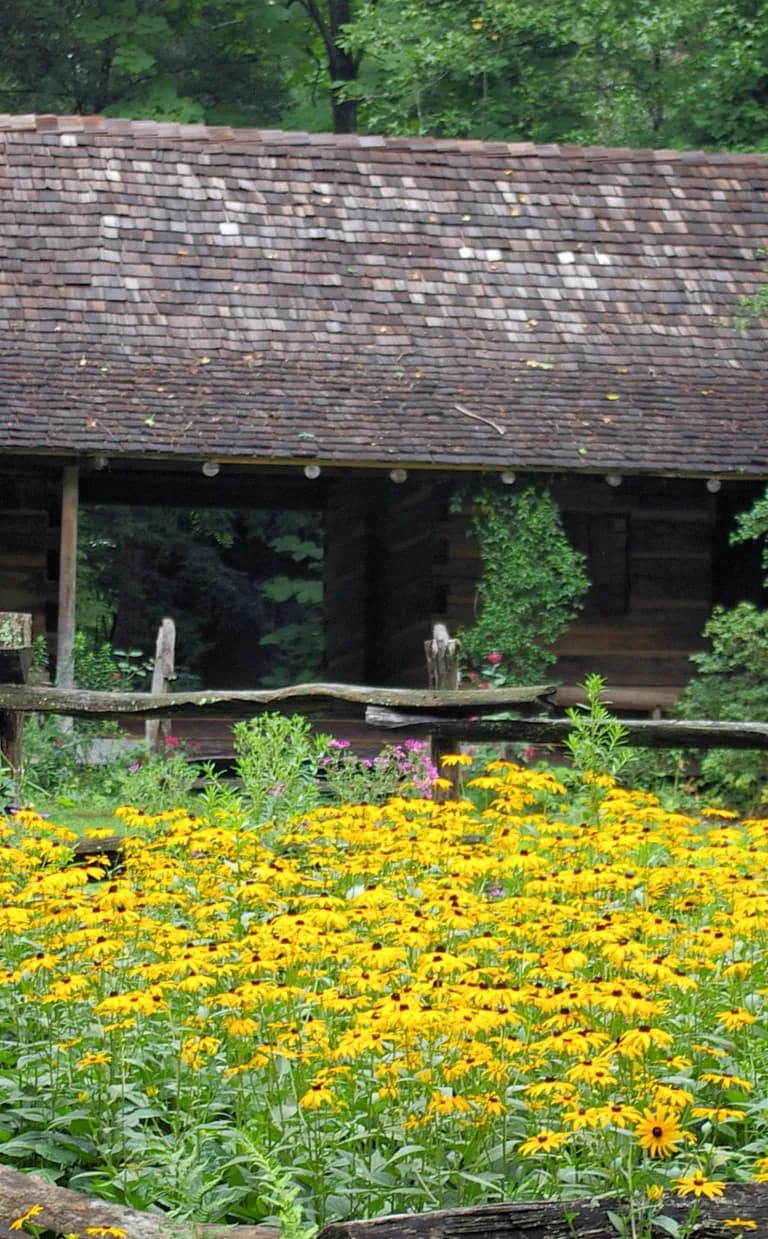 Asheville Botanical Garden Trails Botanical gardens Trail Asheville NC