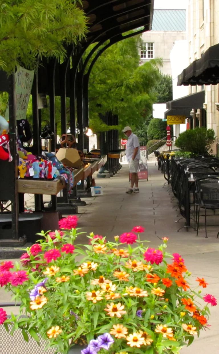 Grove's Vision Asheville's Urban Trail - Grove's Vision