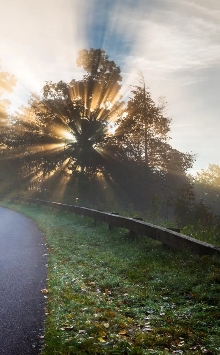 36 Free Ways to Explore Asheville Blue Ridge Parkway