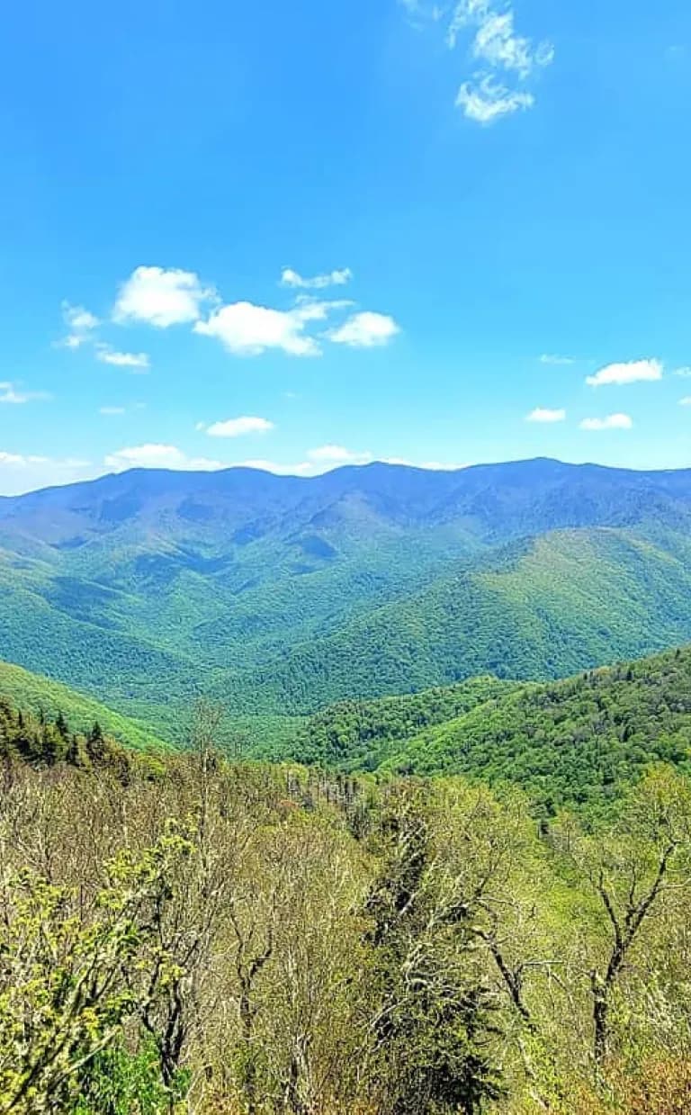 Big Butt Trail on the Blue Ridge Parkway Big Butt Trail / Photo: @zgr322