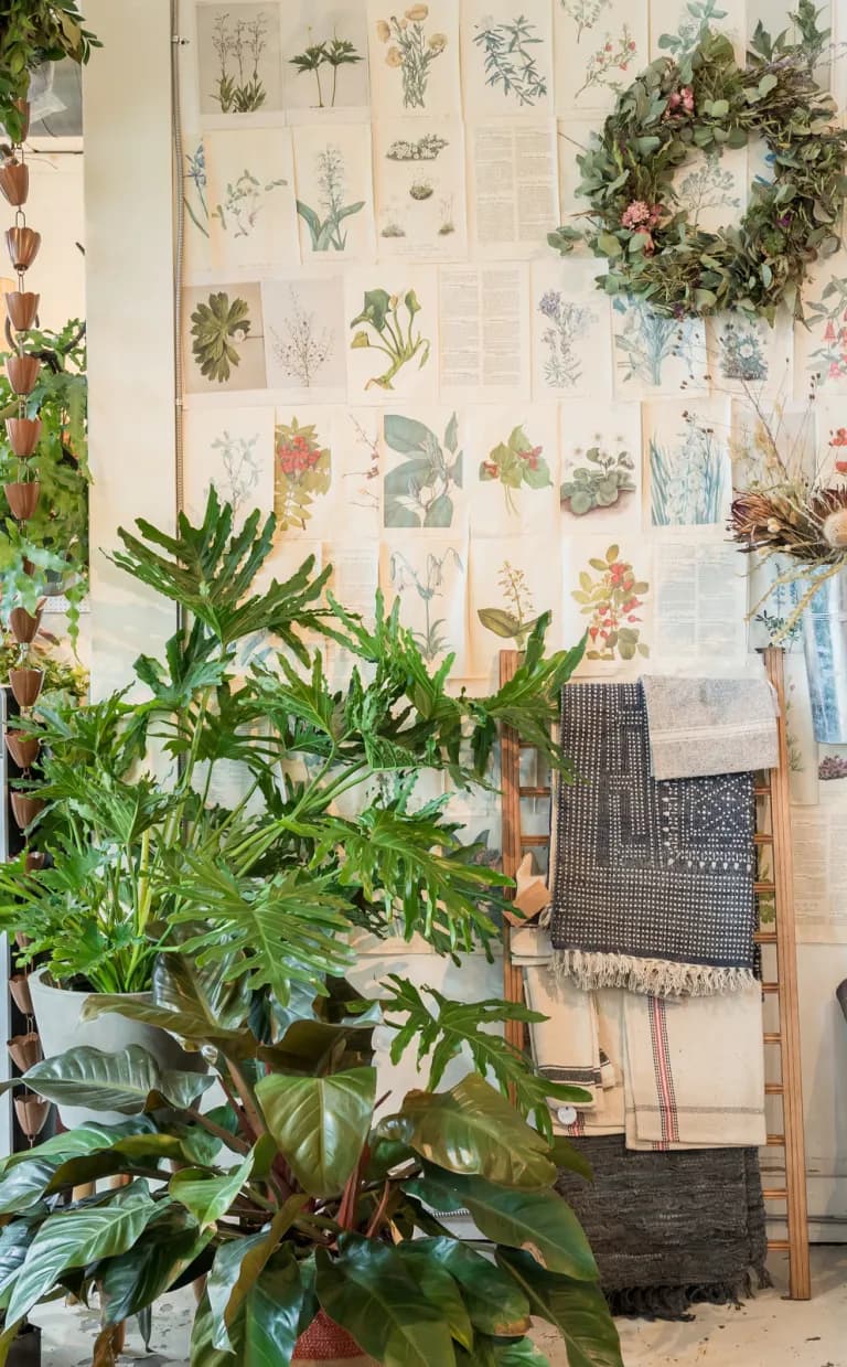 Asheville Date Night Itinerary: Instagram-Worthy Flora