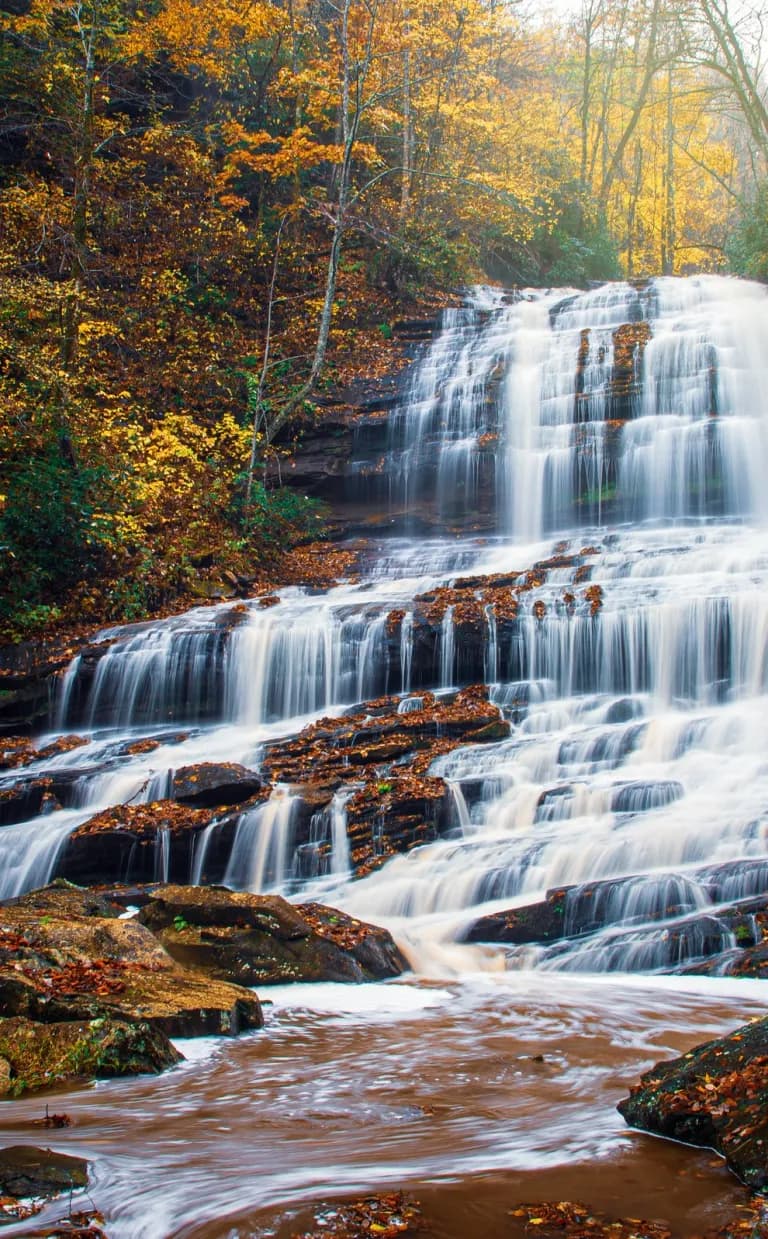 The Best Waterfalls Near Asheville, NC Waterfall