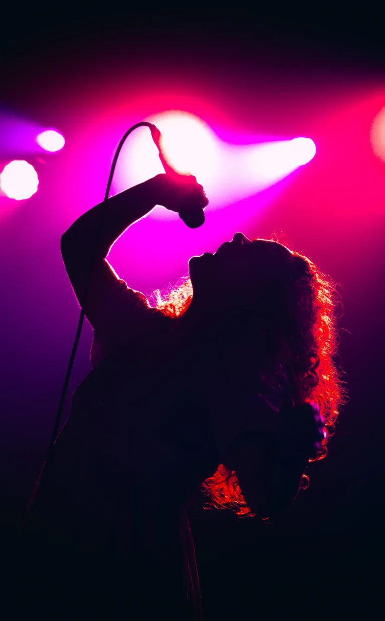 Festivals & Cultural Events Support Fund The Heavy Heavy at AVLFest / Photo: Fiasco Media