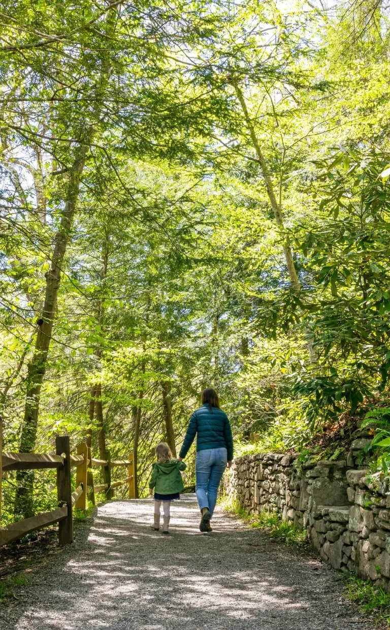 5 Great Places to Take a Walk in Asheville Asheville Botanical Gardens